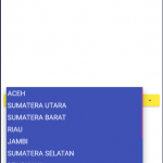 masukkan data JSON online ke spinner kodular #result3